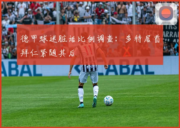 德甲球迷脏话比例调查：多特居首拜仁紧随其后